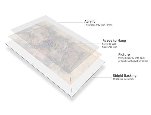Albert Einstein Portrait Picture on Stretched Canvas, Wall Art Décor, Ready to Hang