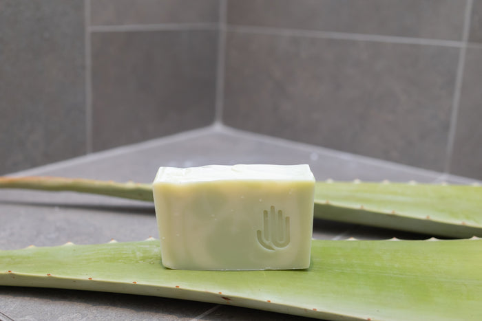 square white and green swirled soap sitting on a real aloe leaf placed on shower tiles