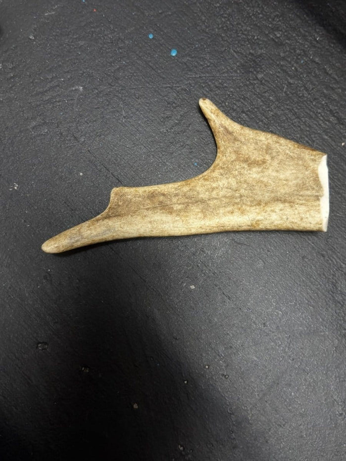 Wag Treats Small Antler (discontinued)
