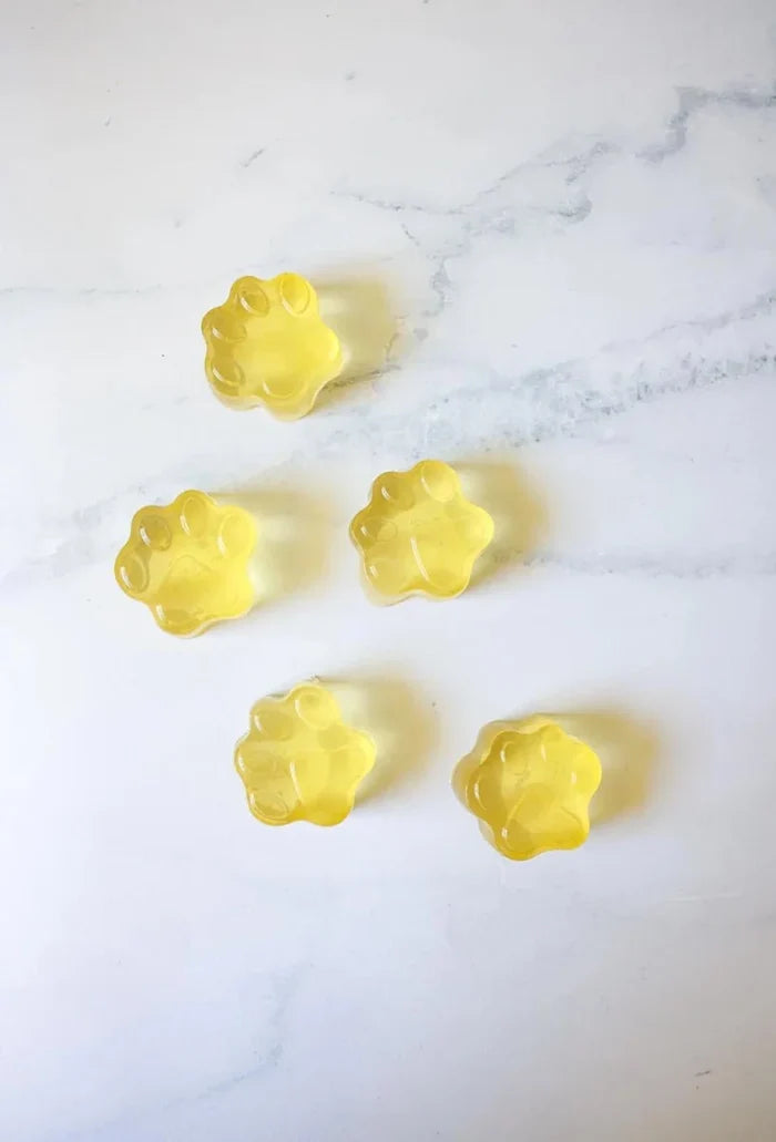 Raw Pawz Bone Broth Diy Gummies