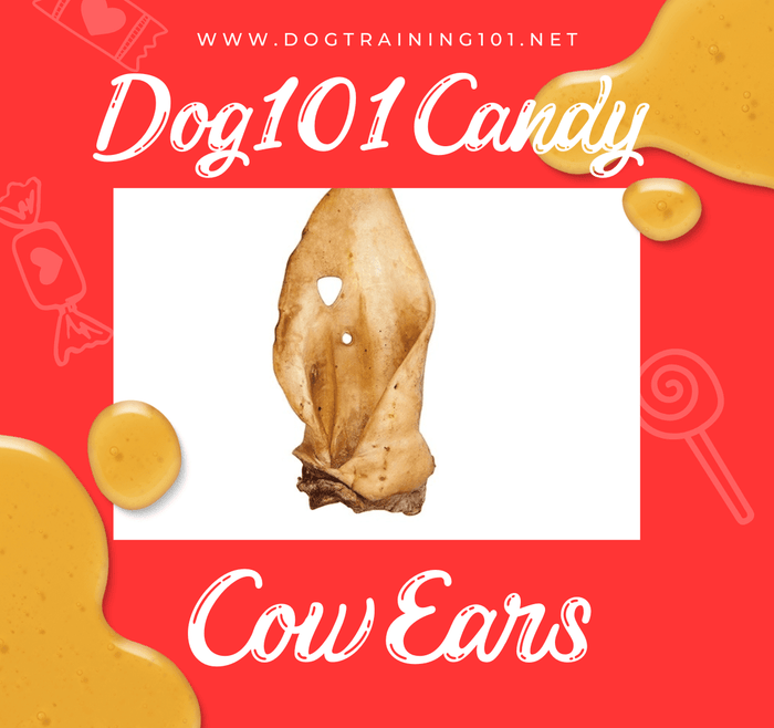 Dogtraining101 Treats Cow Ears