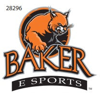 E Sports Decal