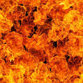EXTREME FLAMES AMBER