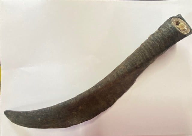 Wag Treats Goat Horn with Marrow