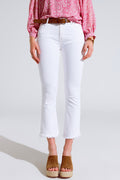 High Rise Basic Flared Jeans In White - Coloured Jeans