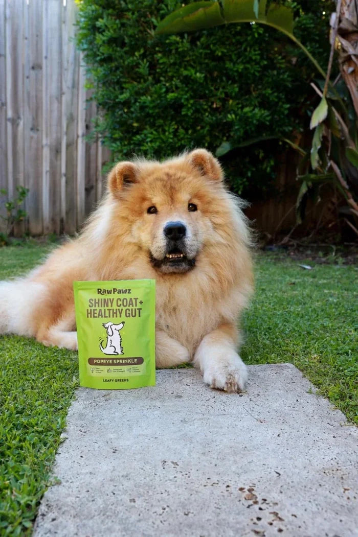 Raw Pawz Popeye Greens Sprinkle - Shiny Coat