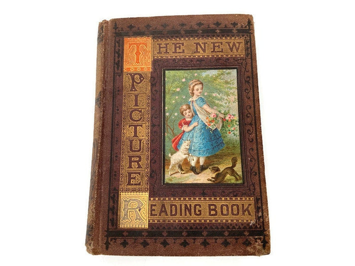 Rare Antique Book, The New Picture Reading Book, 1872 at Duckwells