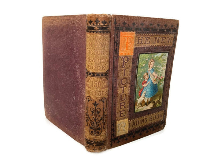 Rare Antique Book, The New Picture Reading Book, 1872 at Duckwells