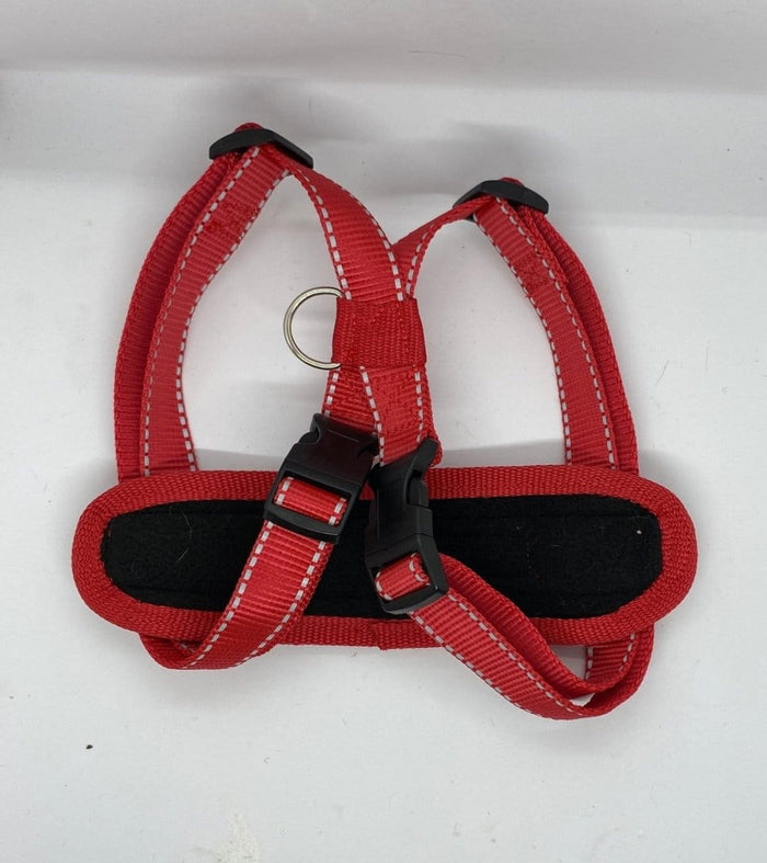 Dogtraining101 Retail Super Store Red Reflective - Black Clip Premium Harness (Large)