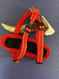 Dogtraining101 Red Trim-Black Clip-Red Reflective Harness (Small)