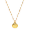 Scallop Shell and Pearl Station Chain Necklace