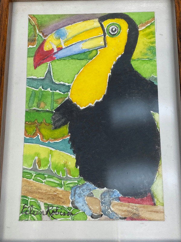 Small Toucan Framed Watercolor Art at Duckwells