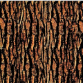 TREE BARK #1